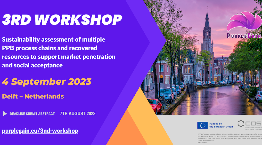 Call for abstract 3rd Workshop